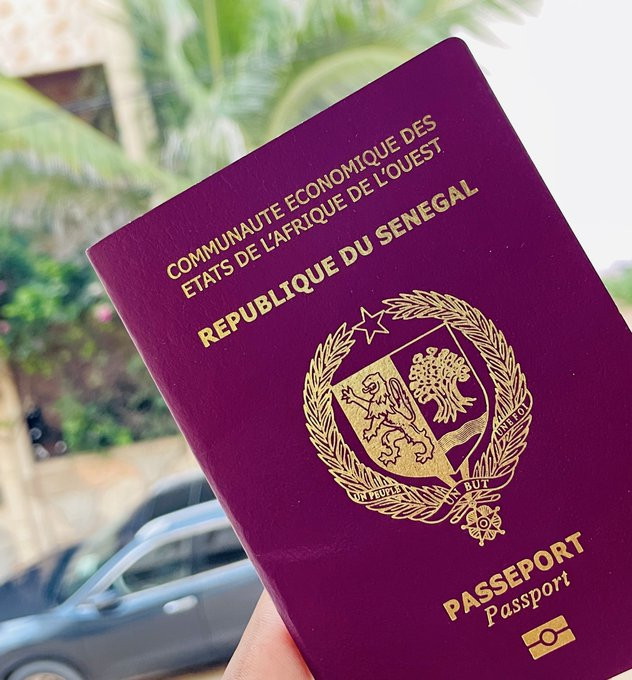 E-Visa Service